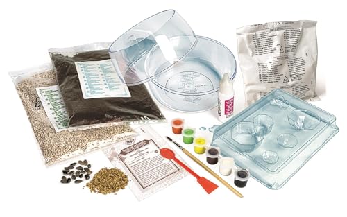 Detalle 2 de Clementoni Harry Potter Terrarium Kit: Build Your Magical Greenhouse