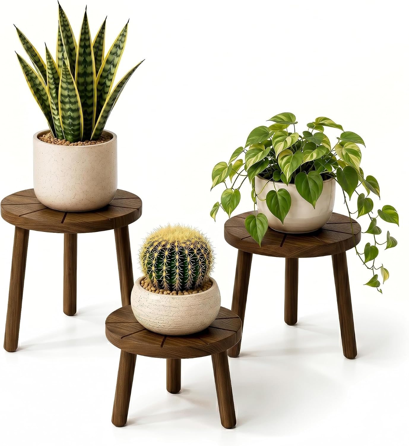 Detalle de Delma Wooden Plant Stands, 3-Pack