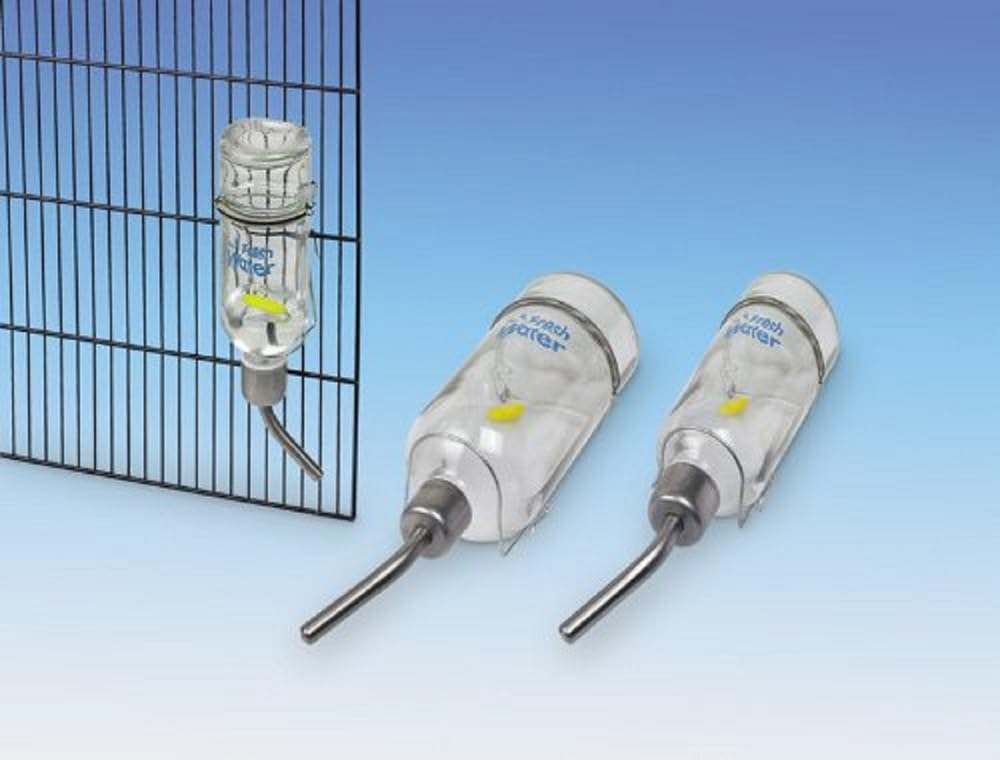 Thumbnail 1 de Nobby Glas Trinkflasche mit Trinkröhrchen und doppeltem Kugelverschluss – 769 ml