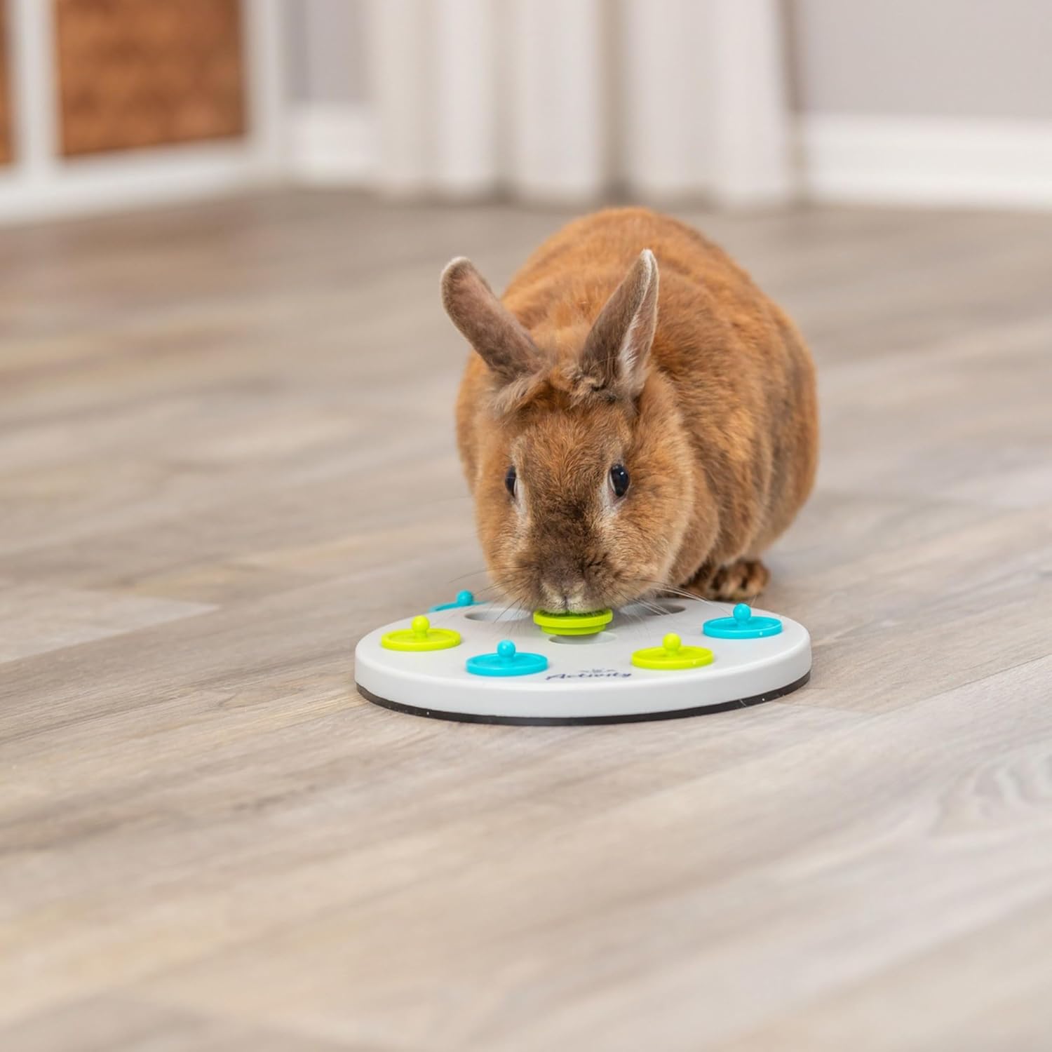 Thumbnail 3 de Trixie 62812 Snack Board aus Kunststoff (ø 20 cm) in Grau