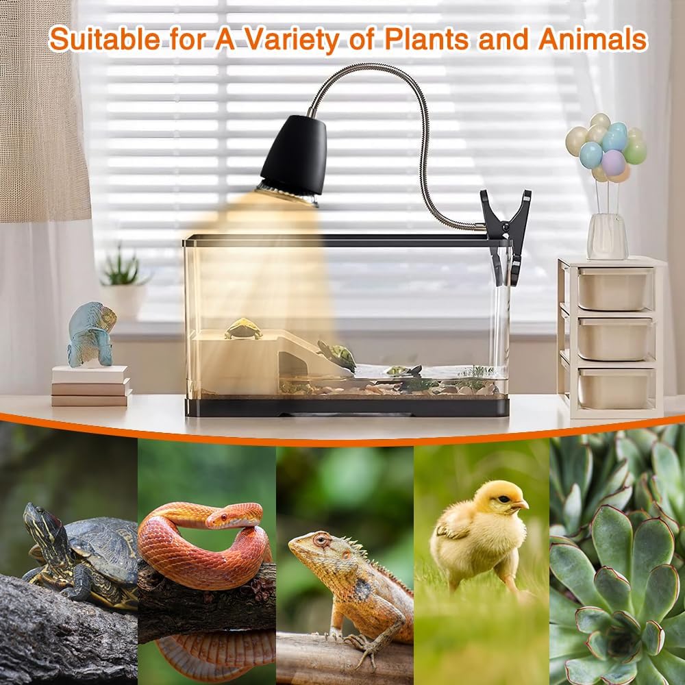 Thumbnail 6 de Golgner Schildkröte Wärmelampe – Wärmespotlampe für Reptilien mit 2× 50W UVA+UVB, 360° Clip & dimmbarem Schalter