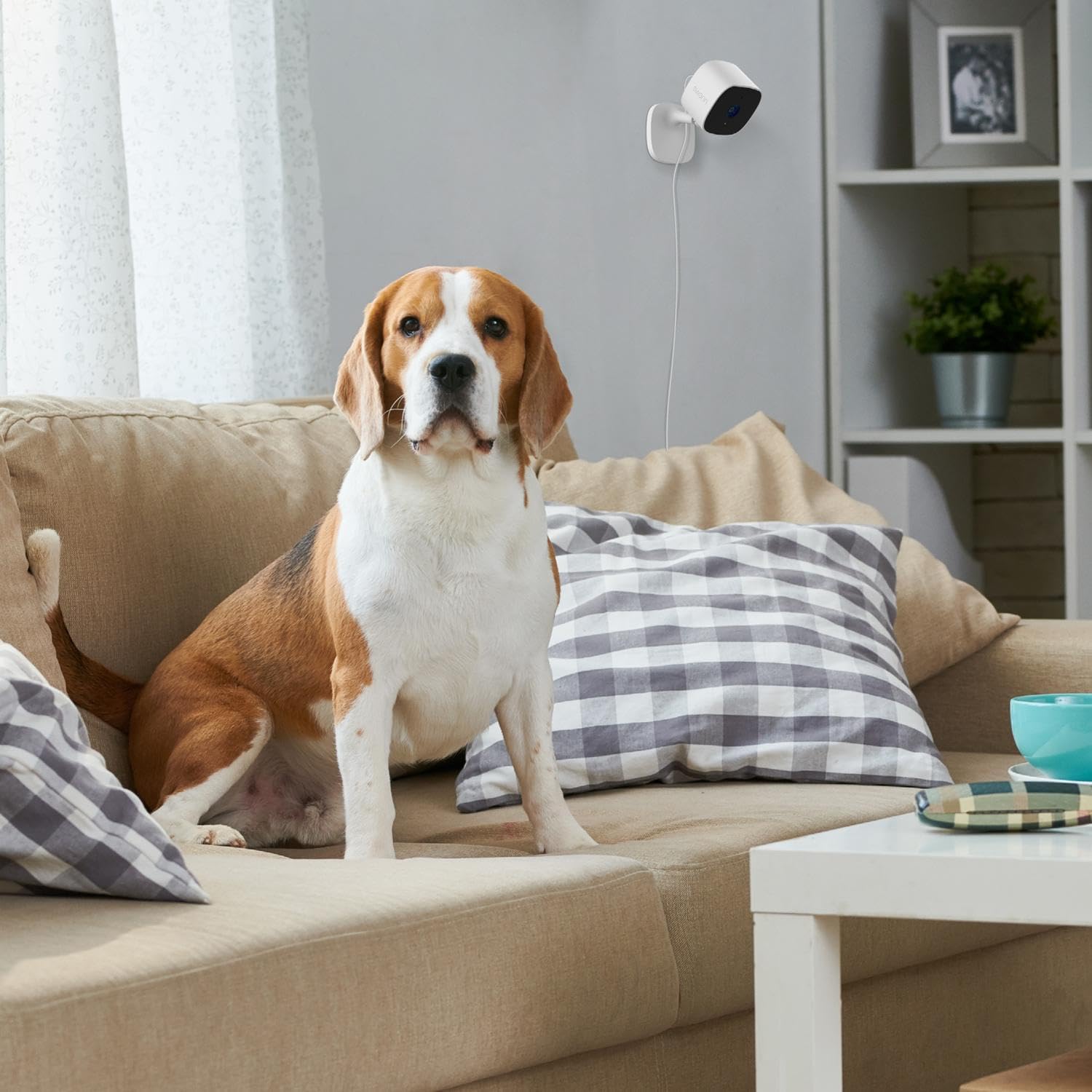 Thumbnail 5 de Swann EVO 2K Indoor Wi‑Fi Security Camera (SWIFI-SE2KIC-EU) with Two‑Way Audio & Night Vision
