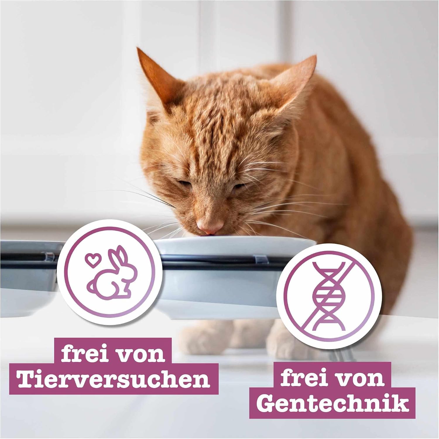 Detalle 1 de catz finefood Classic Collection Mix-Paket Nassfutter für Katzen – ohne Getreide, ohne Zucker, hoher Fleischanteil