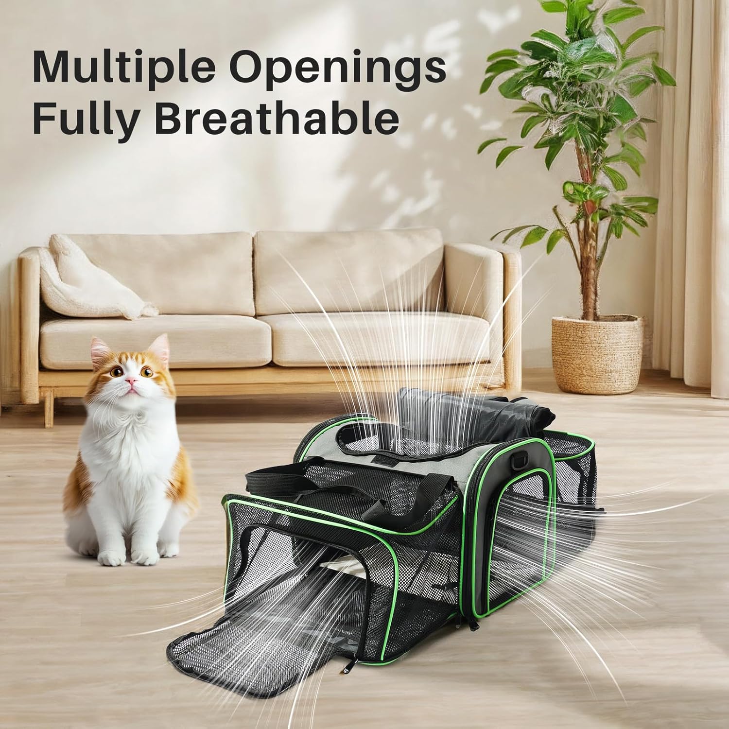 Thumbnail 4 de Gardner Pet Cat Carrier Airline Approved
