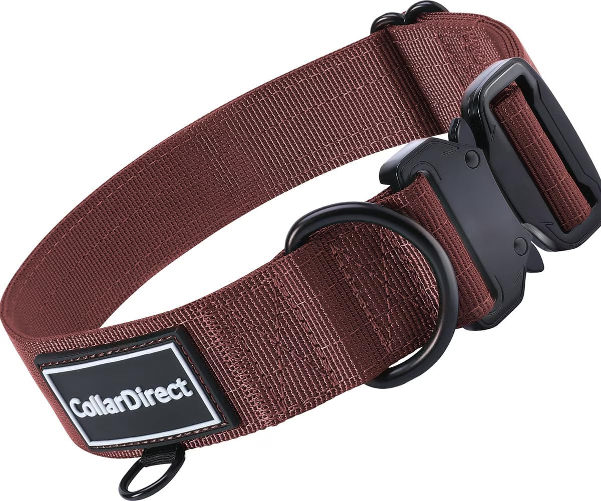 Thumbnail 6 de Nylon Dog Collar, Dark Blue