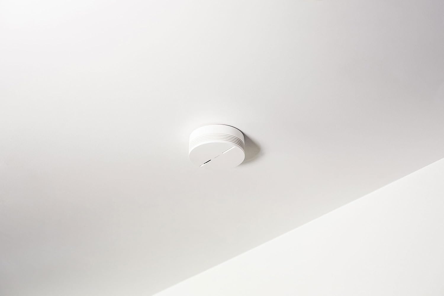 Detalle de Netatmo Détecteur Fumée Intelligent 10 ans