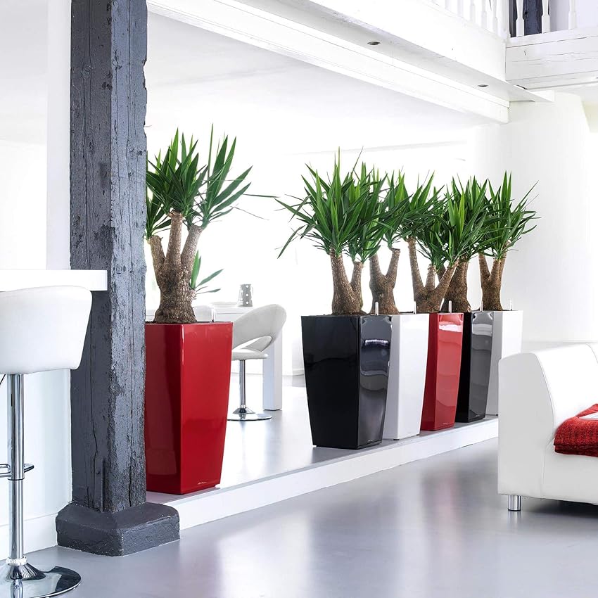 Thumbnail 2 de LECHUZA Cubico Premium 40 macetero 31 l