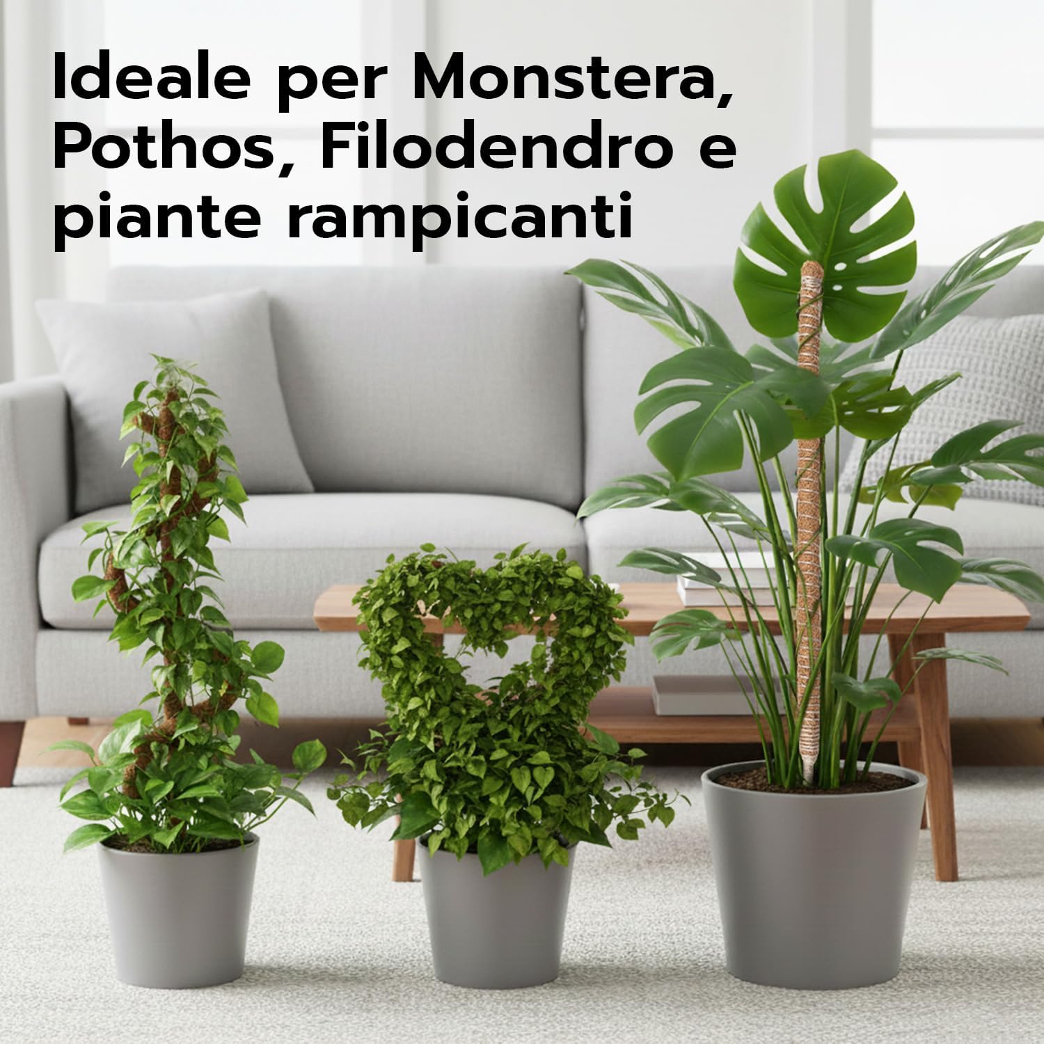 Thumbnail 6 de Wigearss Bastone di Muschio 100 cm per piante