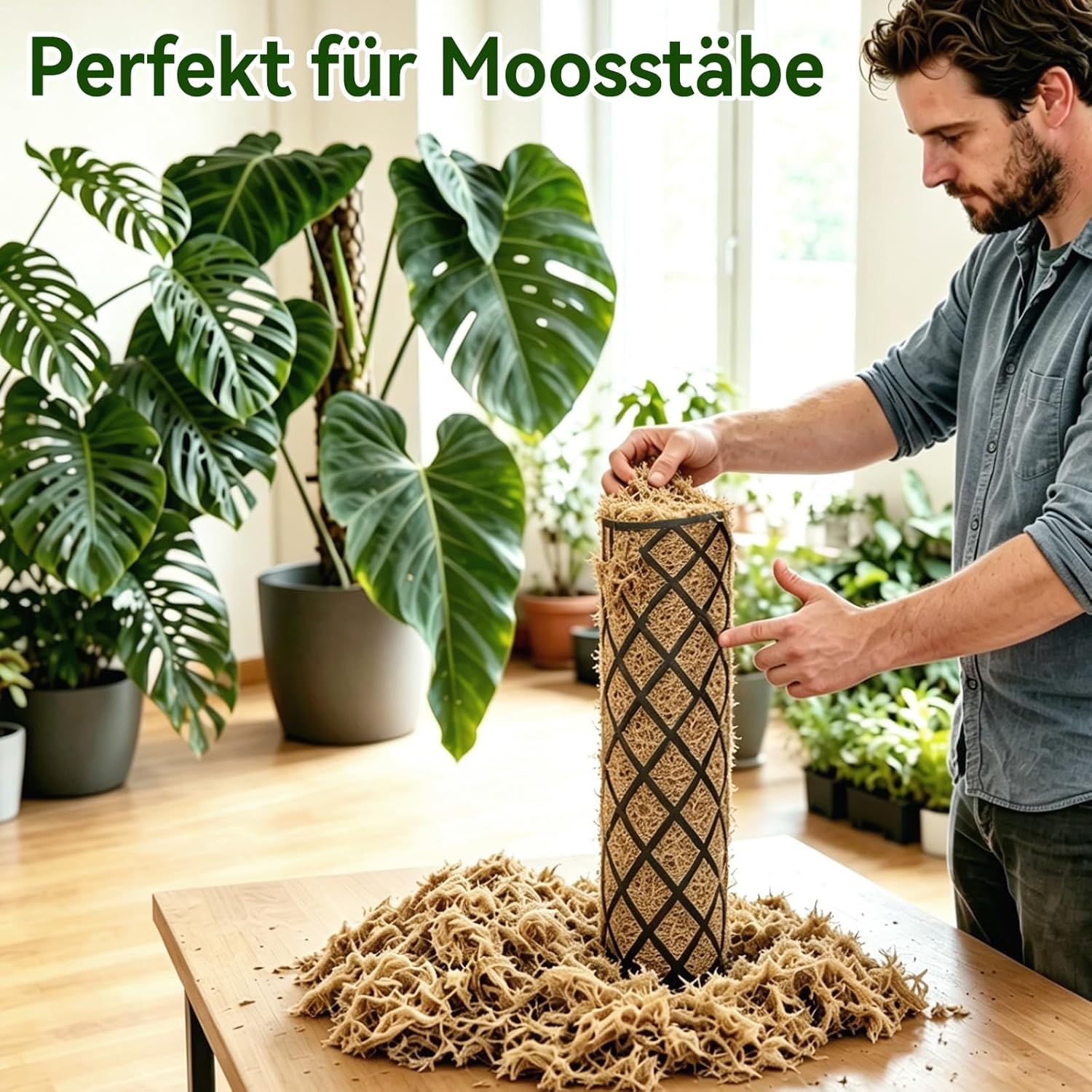 Detalle 2 de Halatoo Sphagnum Moos 170 g für Orchideen und Pflanzen