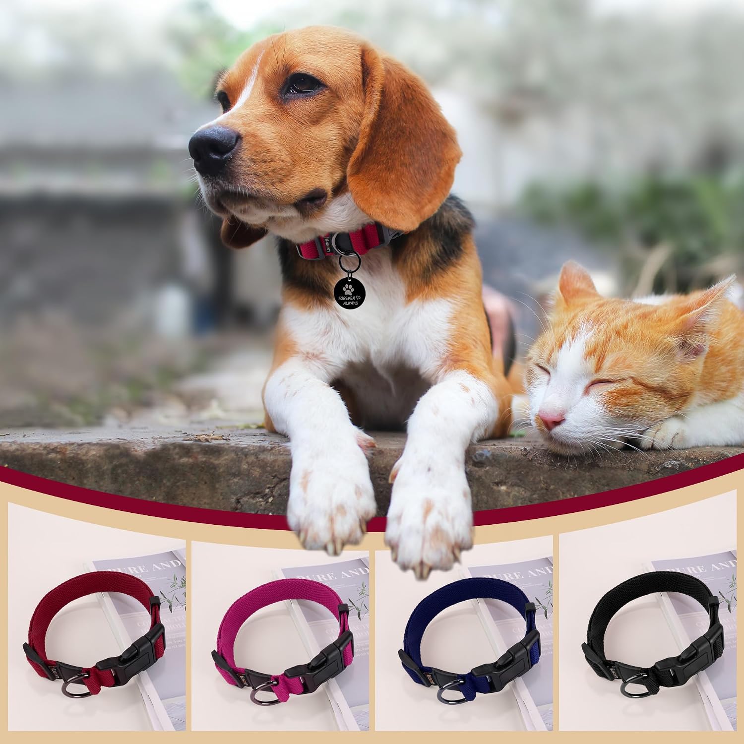 Detalle 1 de Likesing Dog Collar, Cotton