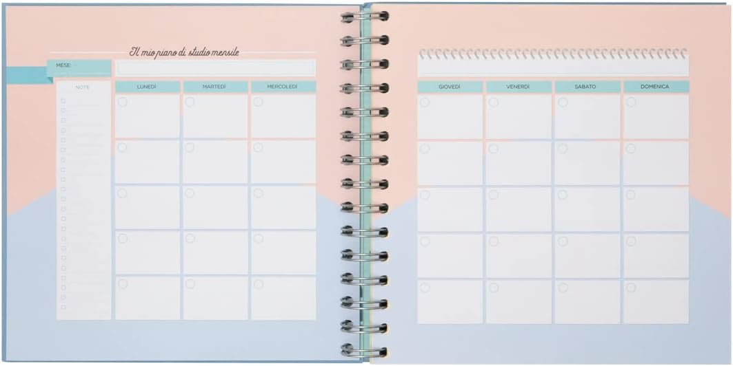 Thumbnail 6 de Mr. Wonderful Planner studio Il mio piano è ottenerlo