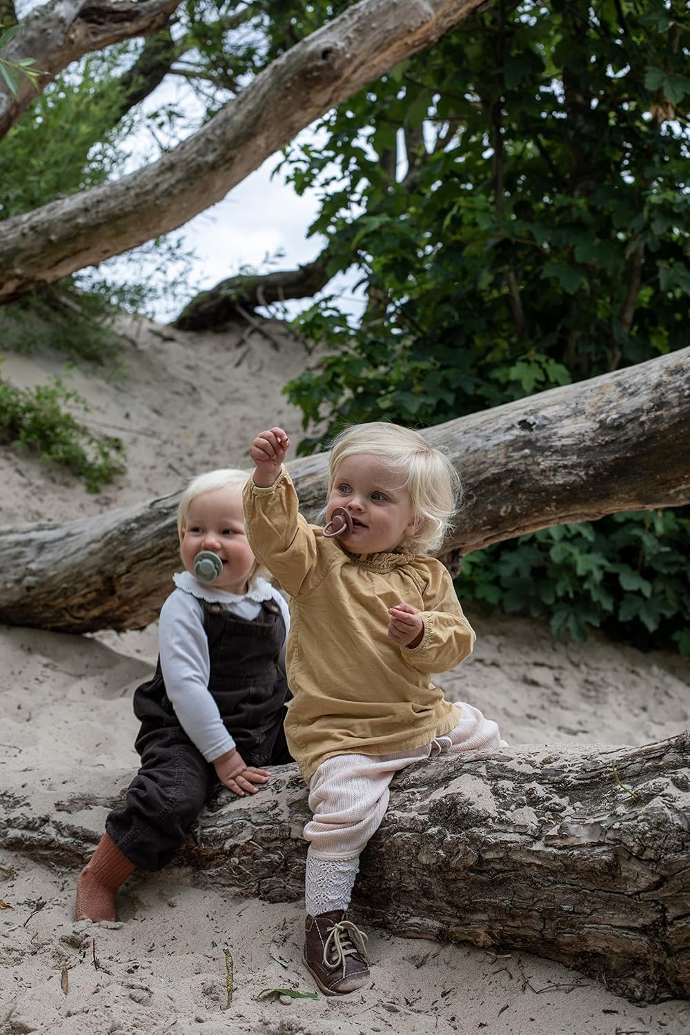 Thumbnail 4 de BIBS De Lux Soother 2-Pack Pacifier Vanilla Oak