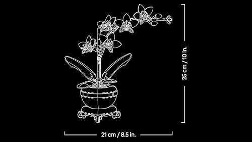 Thumbnail 7 de LEGO Botanicals Miniorquídea 10343 — Maqueta de Orquídea para Decoración y Regalo