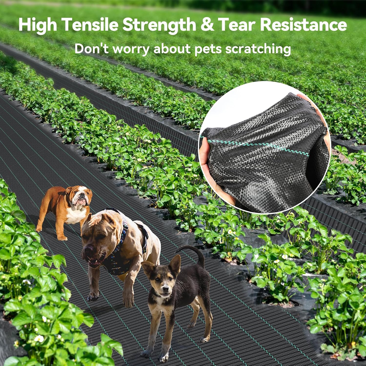 Detalle 2 de iropro 2m x 25m Heavy Duty Weed Control Membrane – Durable Garden Weed Barrier Fabric