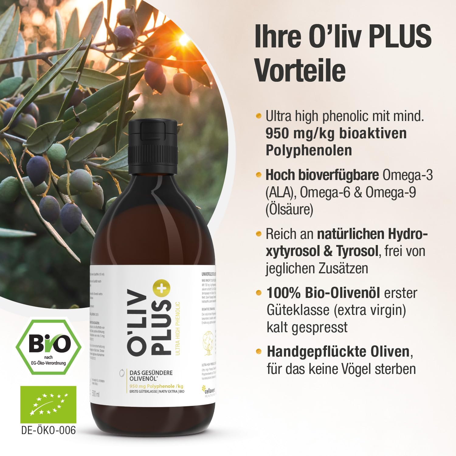 Thumbnail 4 de O'Liv PLUS Olivenöl – Bio, extra hohes Polyphenolprofil und 950 mg/kg
