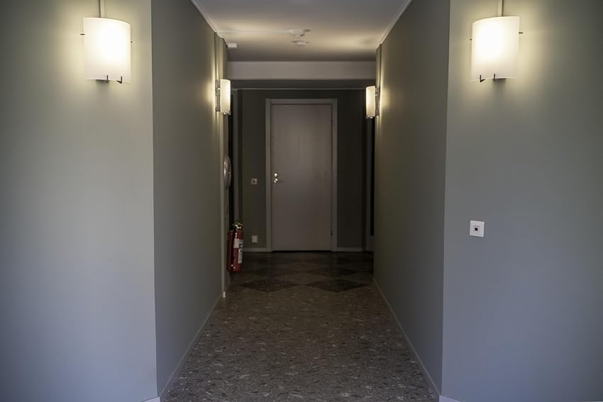 Detalle 2 de OSRAM DULUX L18 8W, 900 lm, 3000K