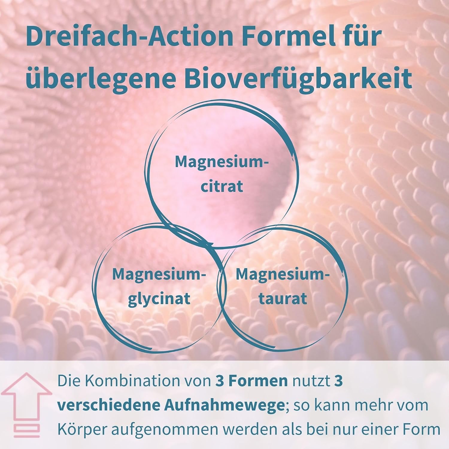 Detalle de Igennus Dreifach-Magnesium-Komplex 60 Tabletten đ