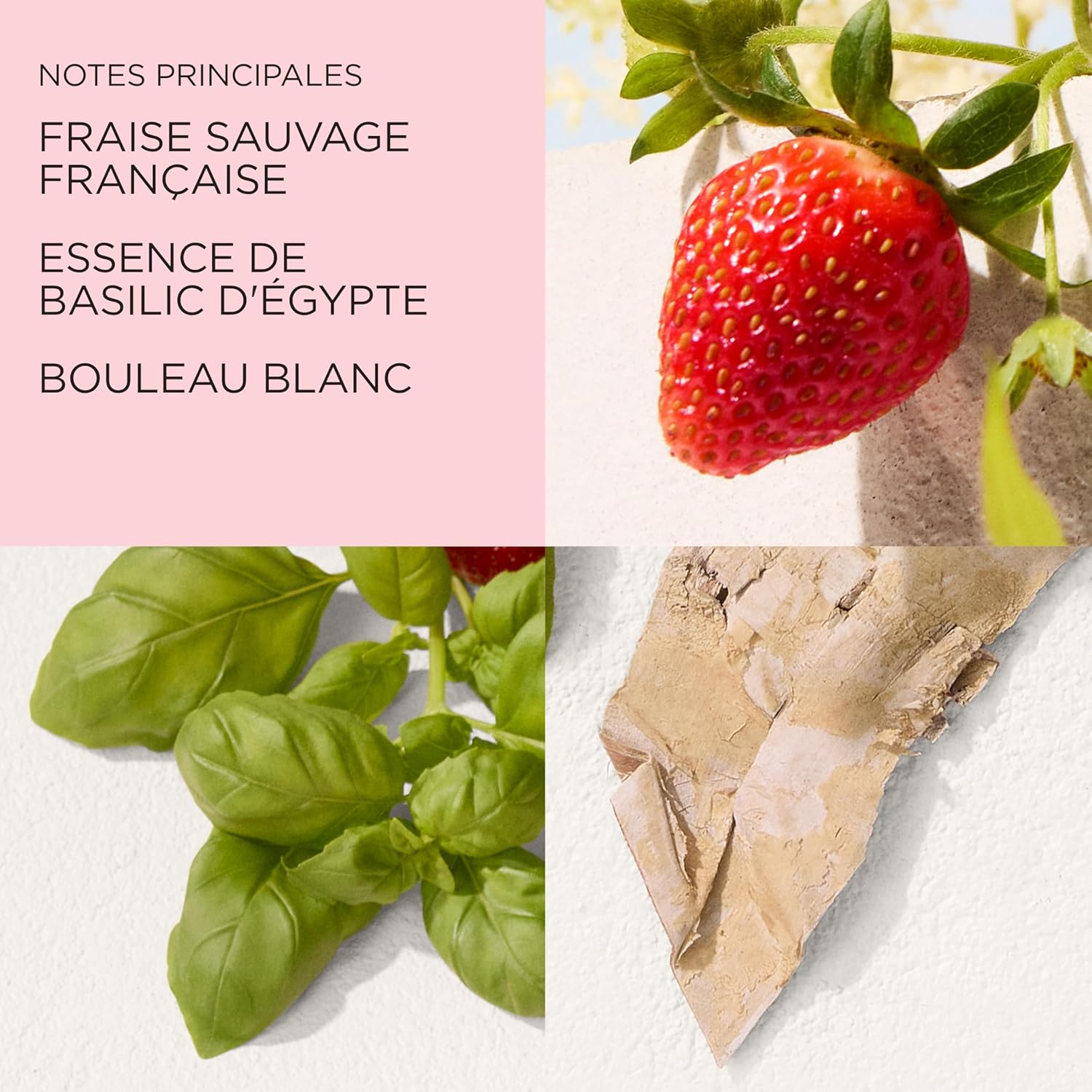 Detalle de Elizabeth Arden Parfum Femme Green Tea Strawberry Basil – Eau de Toilette fraîche et fruitée