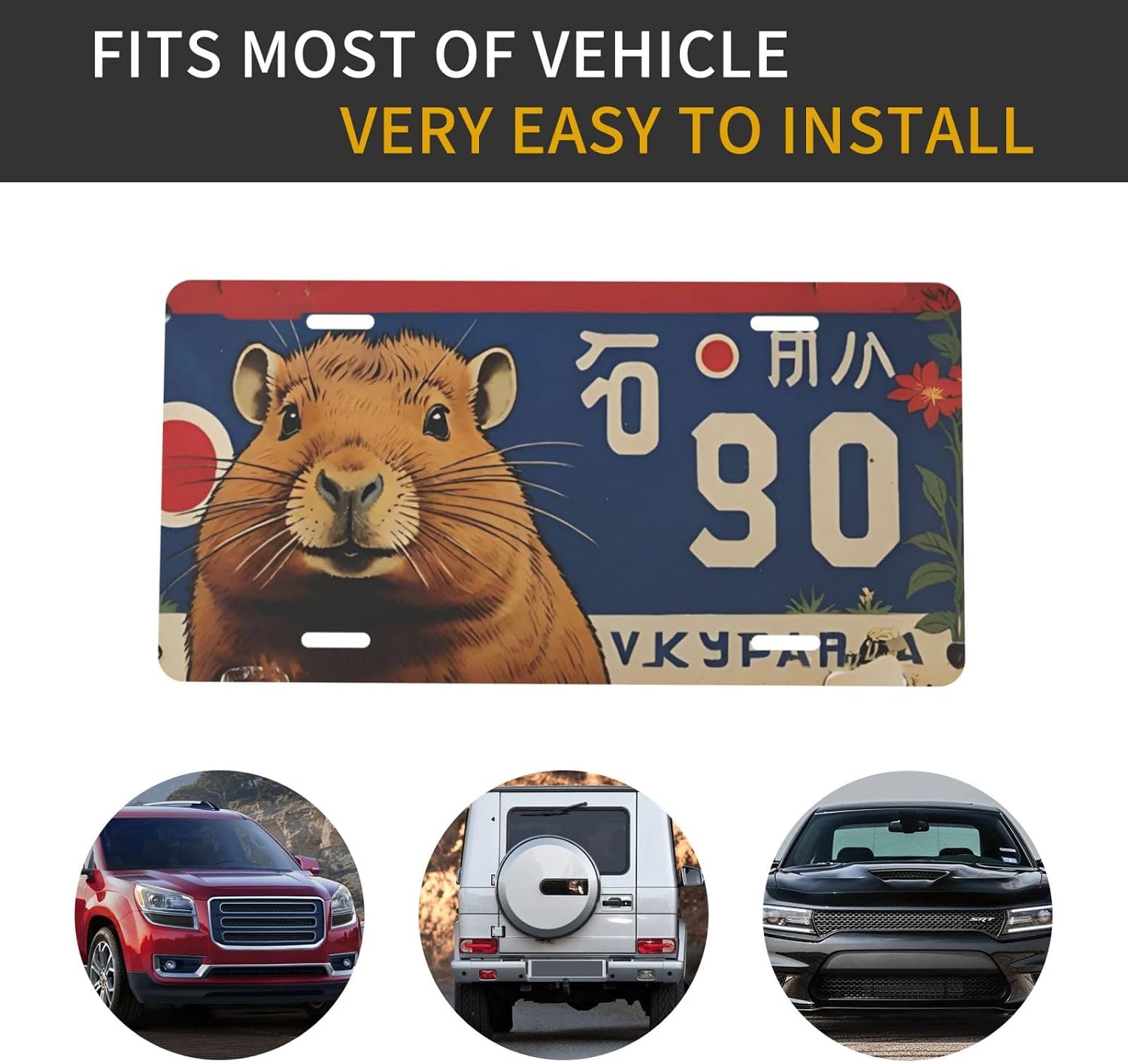 Detalle de Decorative License Plate 12 × 6 Inch