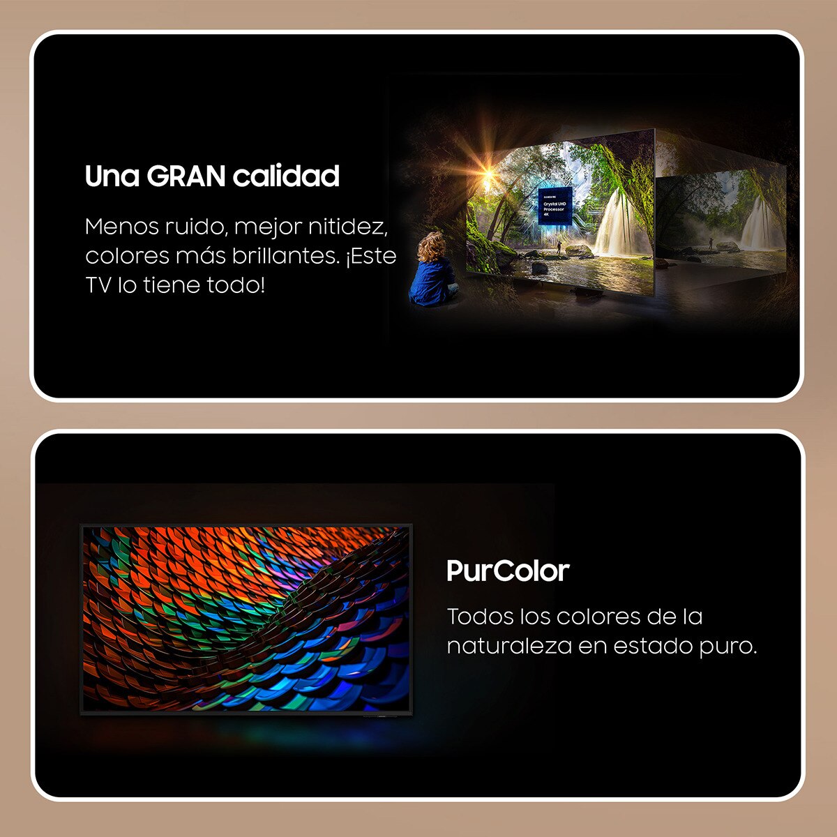 Thumbnail 3 de Samsung TU98DU9005KXXC TV LED 98" UHD 4K reacondicionado 📺