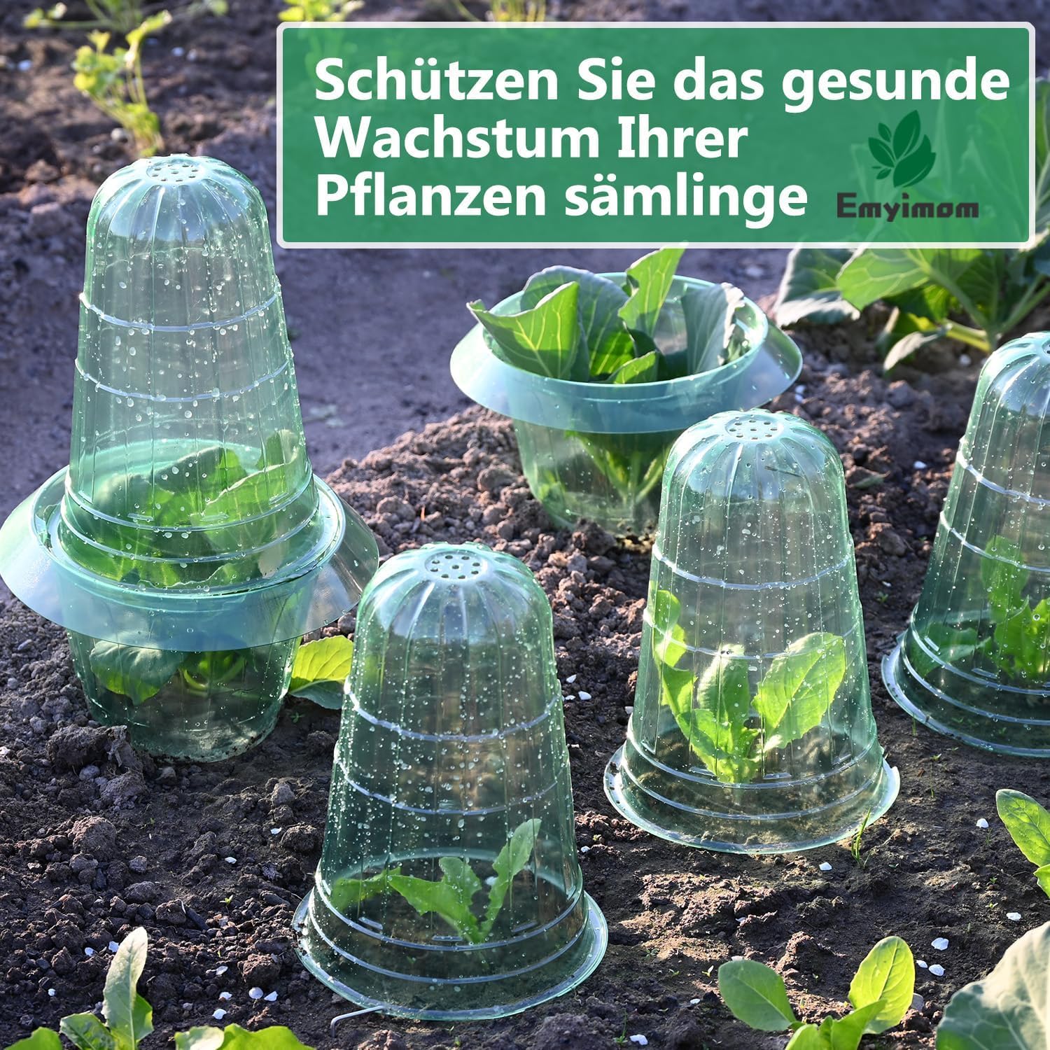 Detalle de Emyimom Pflanzenhut für Salatpflanzen – Pflanzhütchen als Schutz vor Vögeln, Schnecken & Witterung