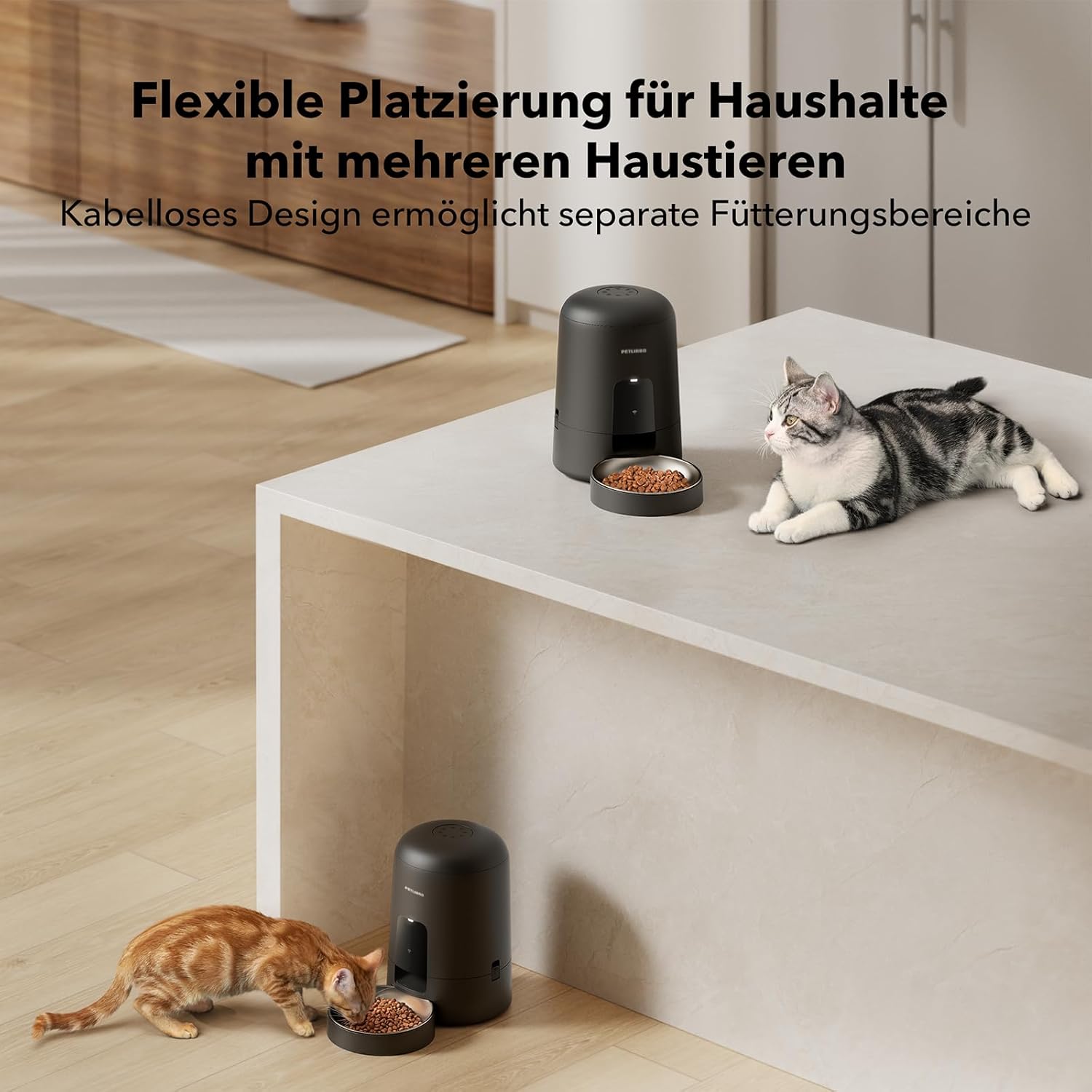 Thumbnail 4 de PETLIBRO Futterautomat für Katzen (2L) mit 2,4-GHz-WLAN, App-Steuerung und wiederaufladbarem Akku