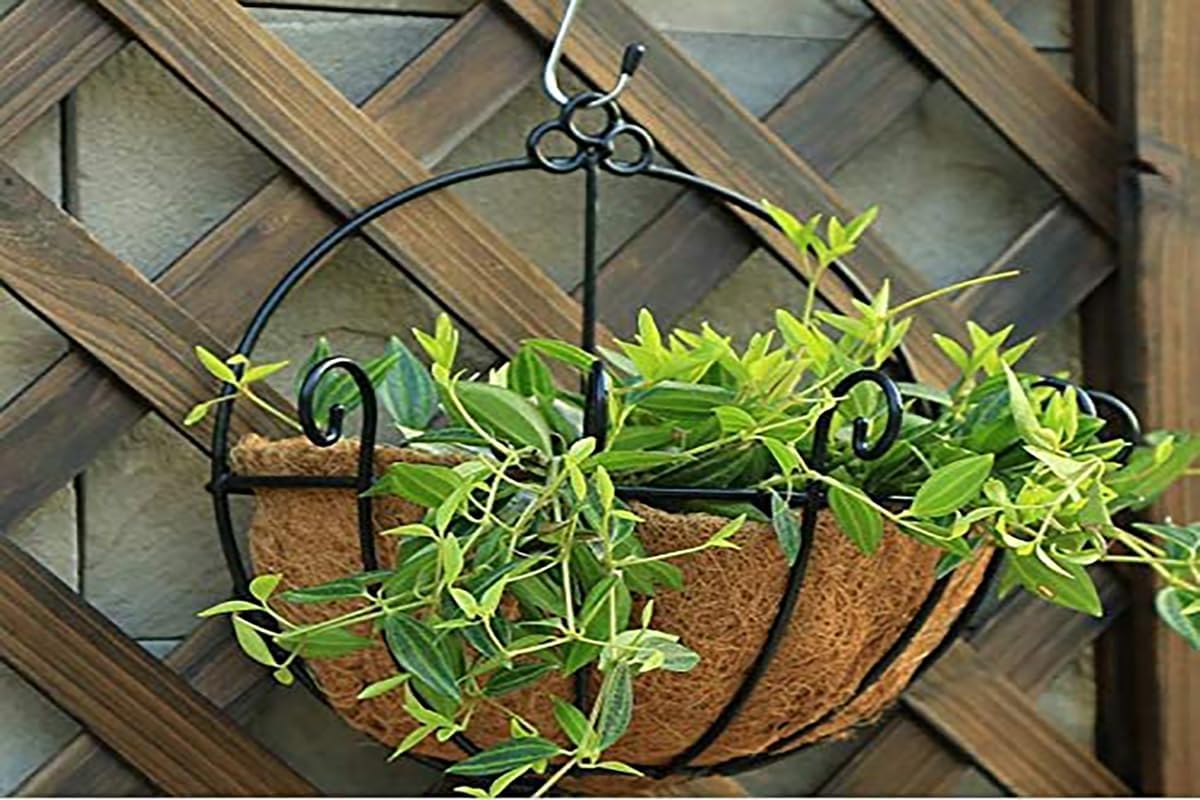 Detalle de RAYRONGLY HR20 20-Inch Half-Round Coconut Fibre Basket Liners, 2-Pack
