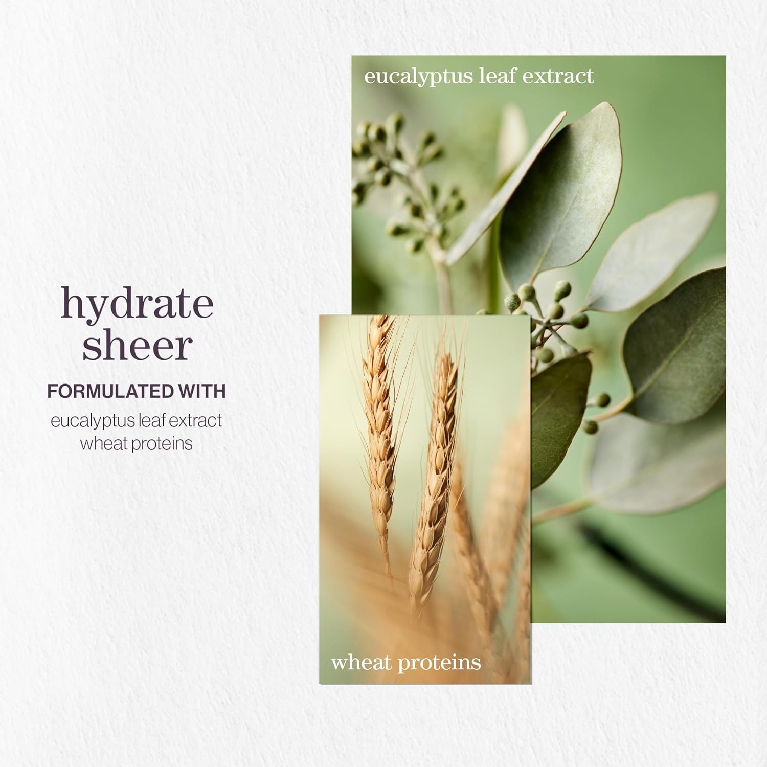 Thumbnail 2 de Pureology Hydrate Sheer Moisturising Conditioner (Vegan) for fine, colour-treated hair