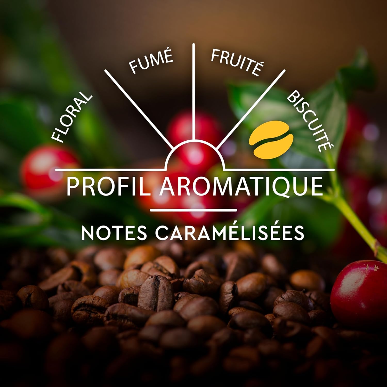 Thumbnail 5 de CARTE NOIRE Espresso Lungo 100 capsules