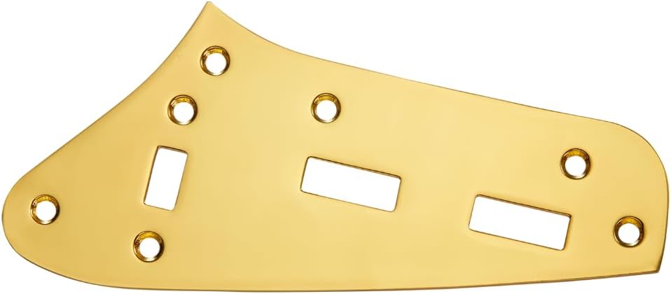 Detalle 2 de Dopro Electric Guitar Control Plate Steel