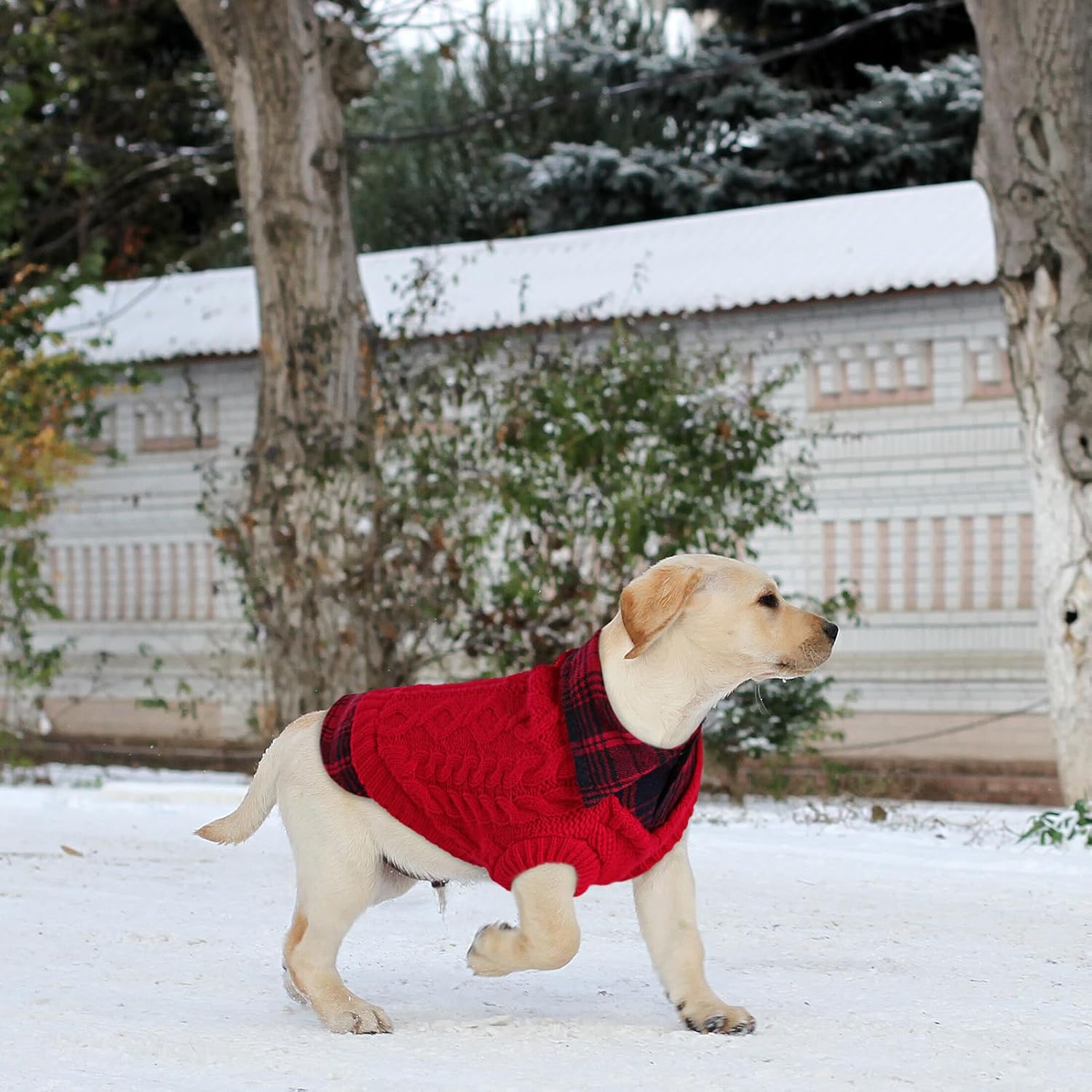 Thumbnail 6 de CITÉTOILE Winter Dog Jumper L