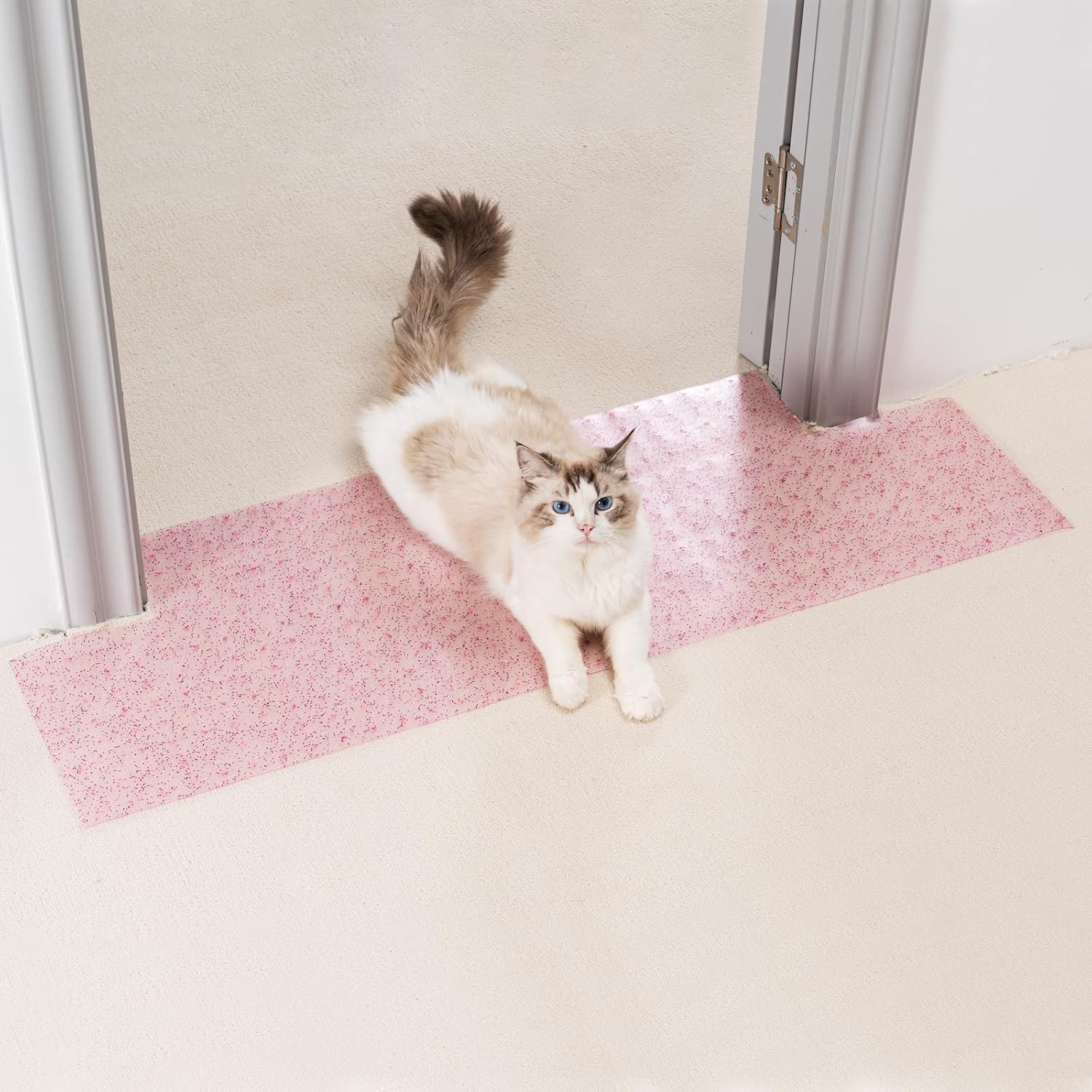 Detalle de Uross 110 cm Carpet Protector for Cats 🐱