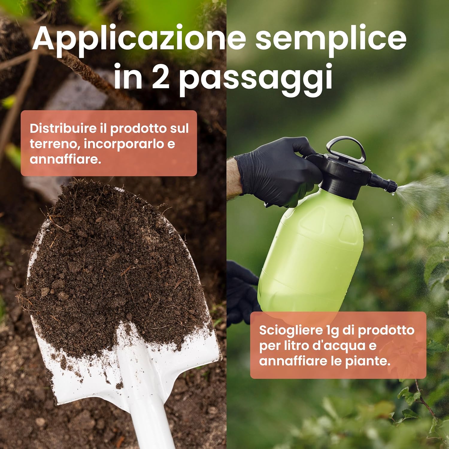 Detalle de LERAVA Ferro Chelato per Piante (4x200 g) Rinverdente: clorosi ferrica e fertiliazione verde