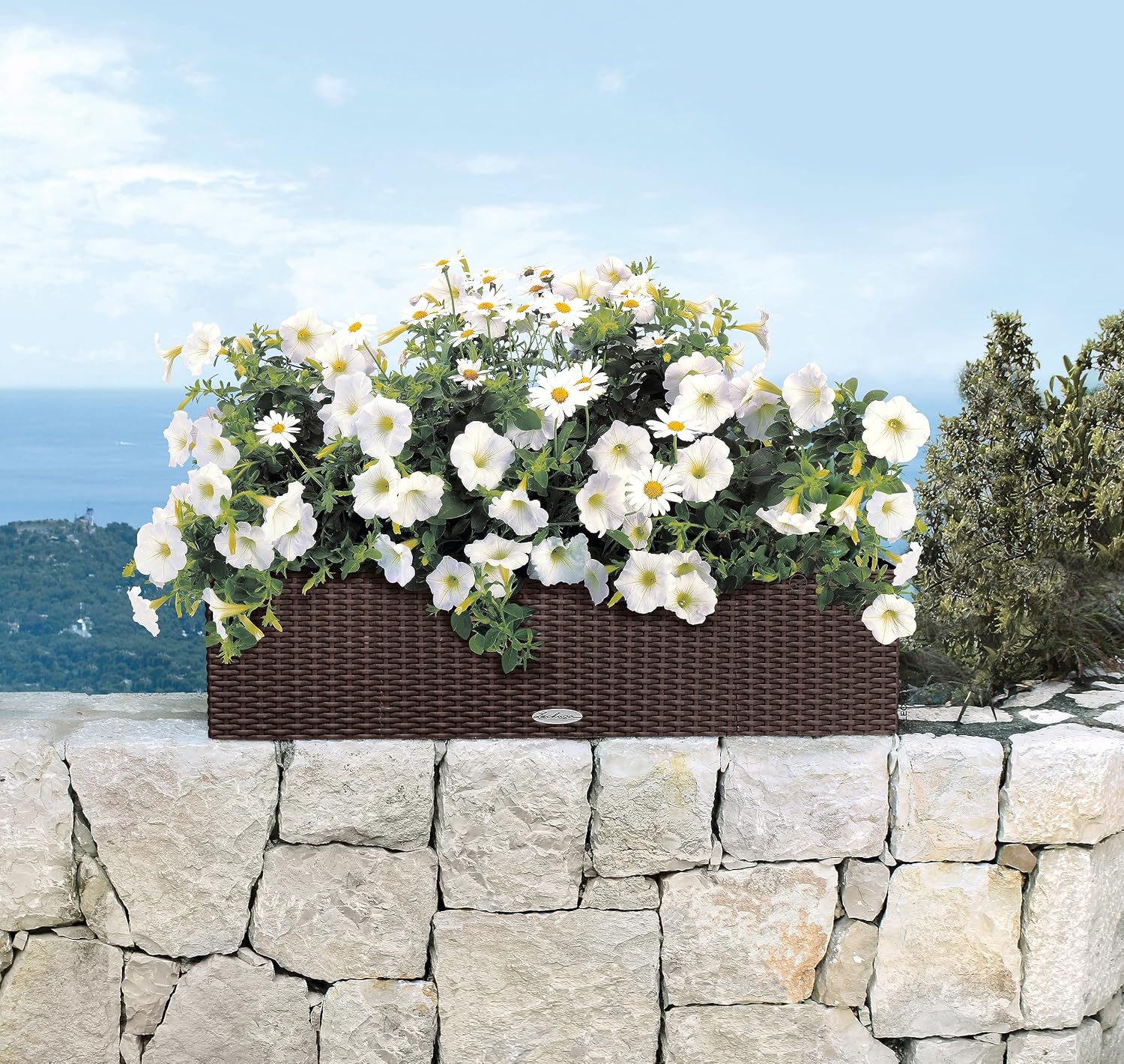Thumbnail 4 de LECHUZA Balconera Cottage 80 moka 15615