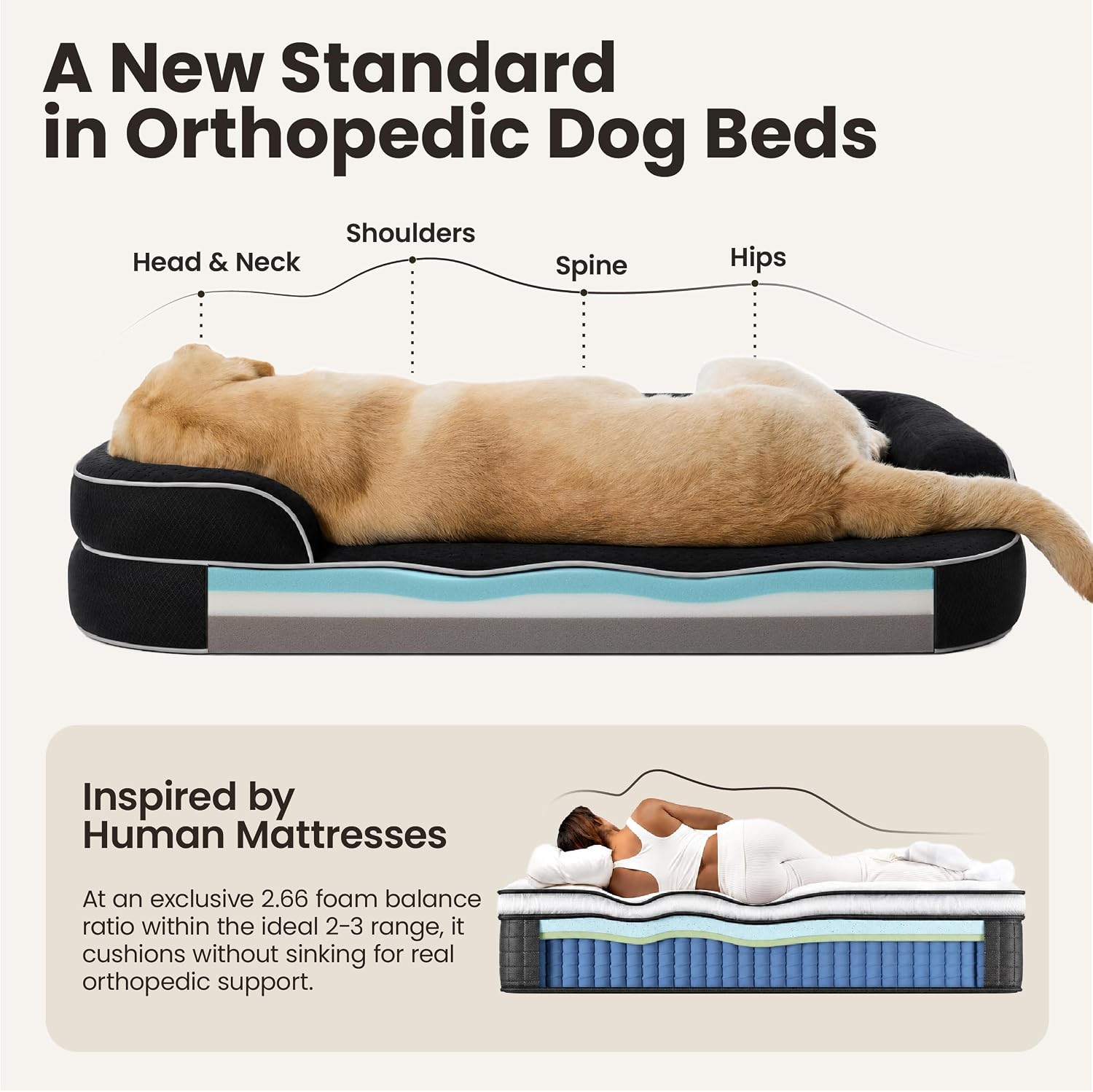 Detalle 2 de LE SURE RealOrtho™ XL Plus Dog Bed, 3-Layer Orthopedic Foam, 48-Inch, Black