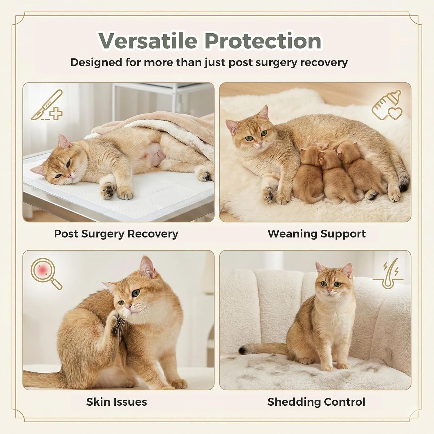 Detalle de Avont Cat Recovery Suit for Surgery (Green, Medium) – Breathable Anti-Licking Onesie for Kittens