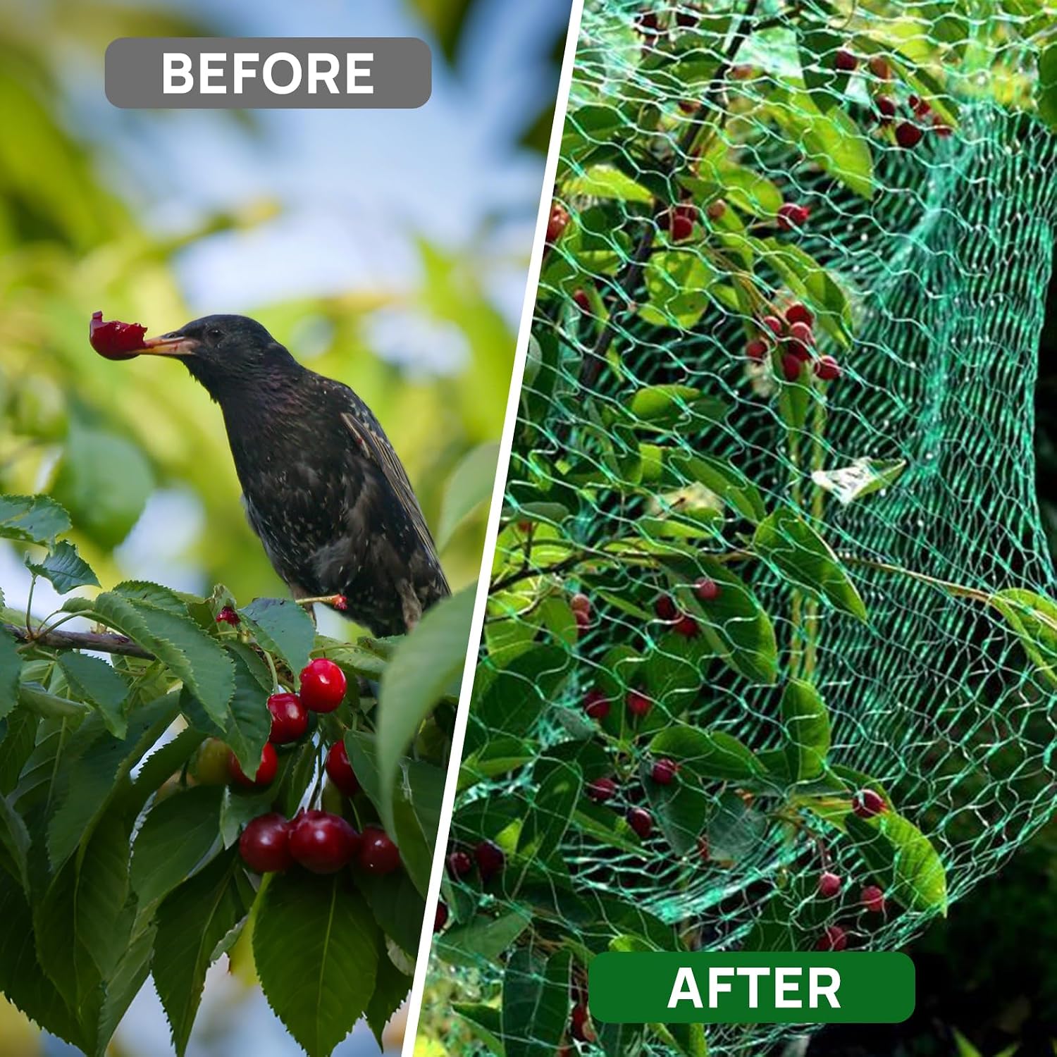 Thumbnail 5 de Green Garden Netting 4m x 12m