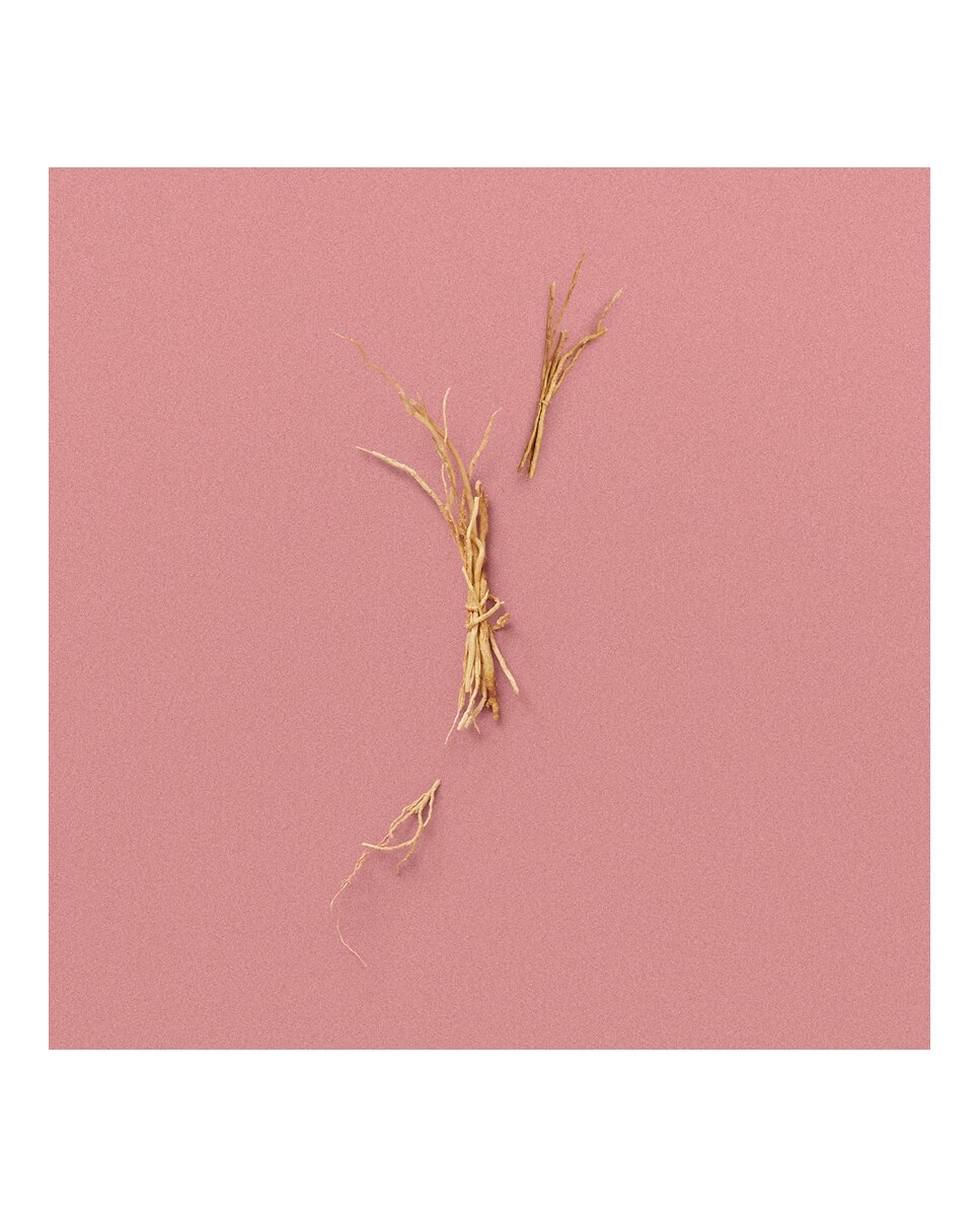 Thumbnail 4 de Gucci The Alchemist's Garden A Gloaming Night 100 ml 🌸