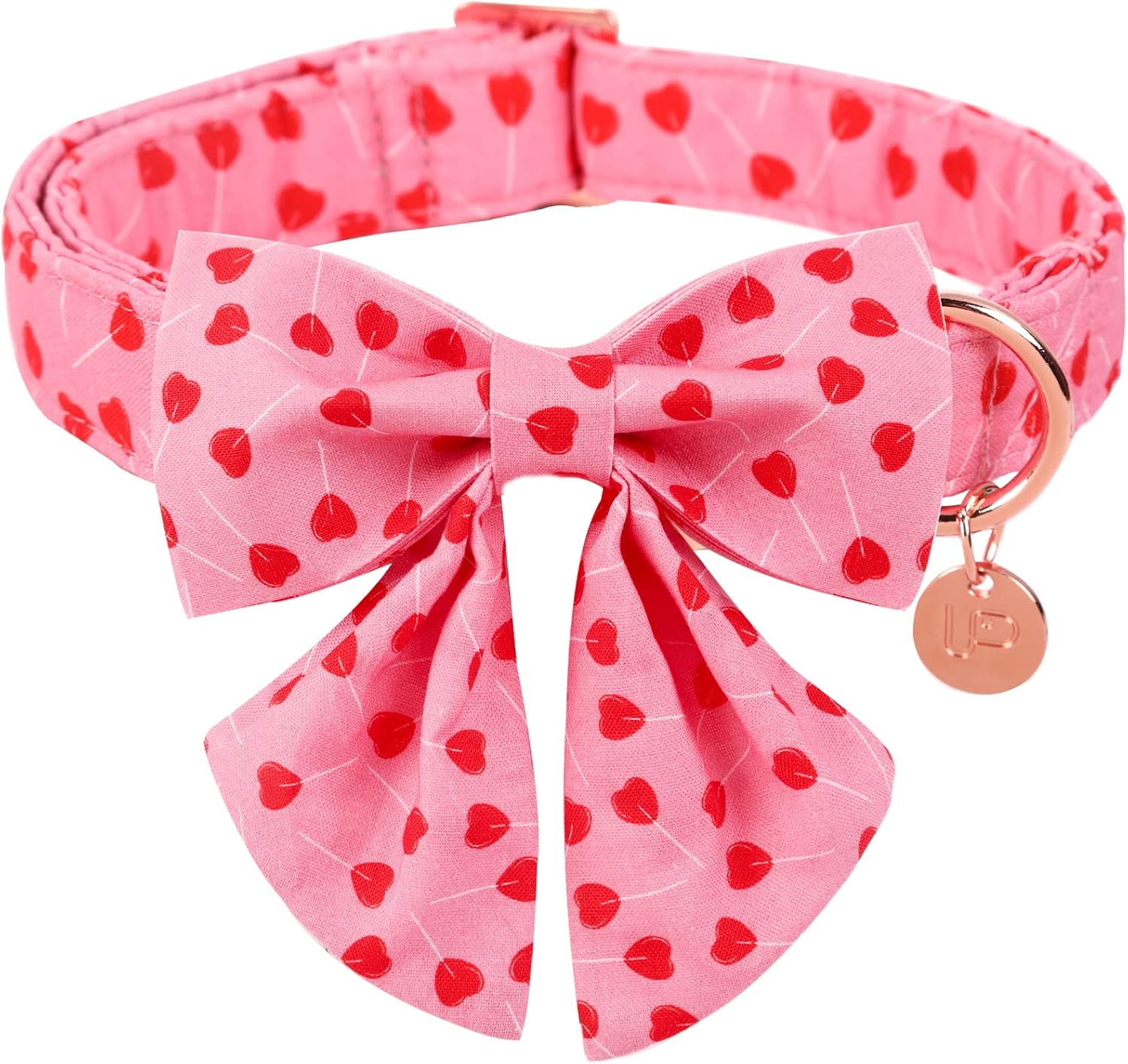 Detalle 2 de UP URARA PUP Dog Collar, Medium
