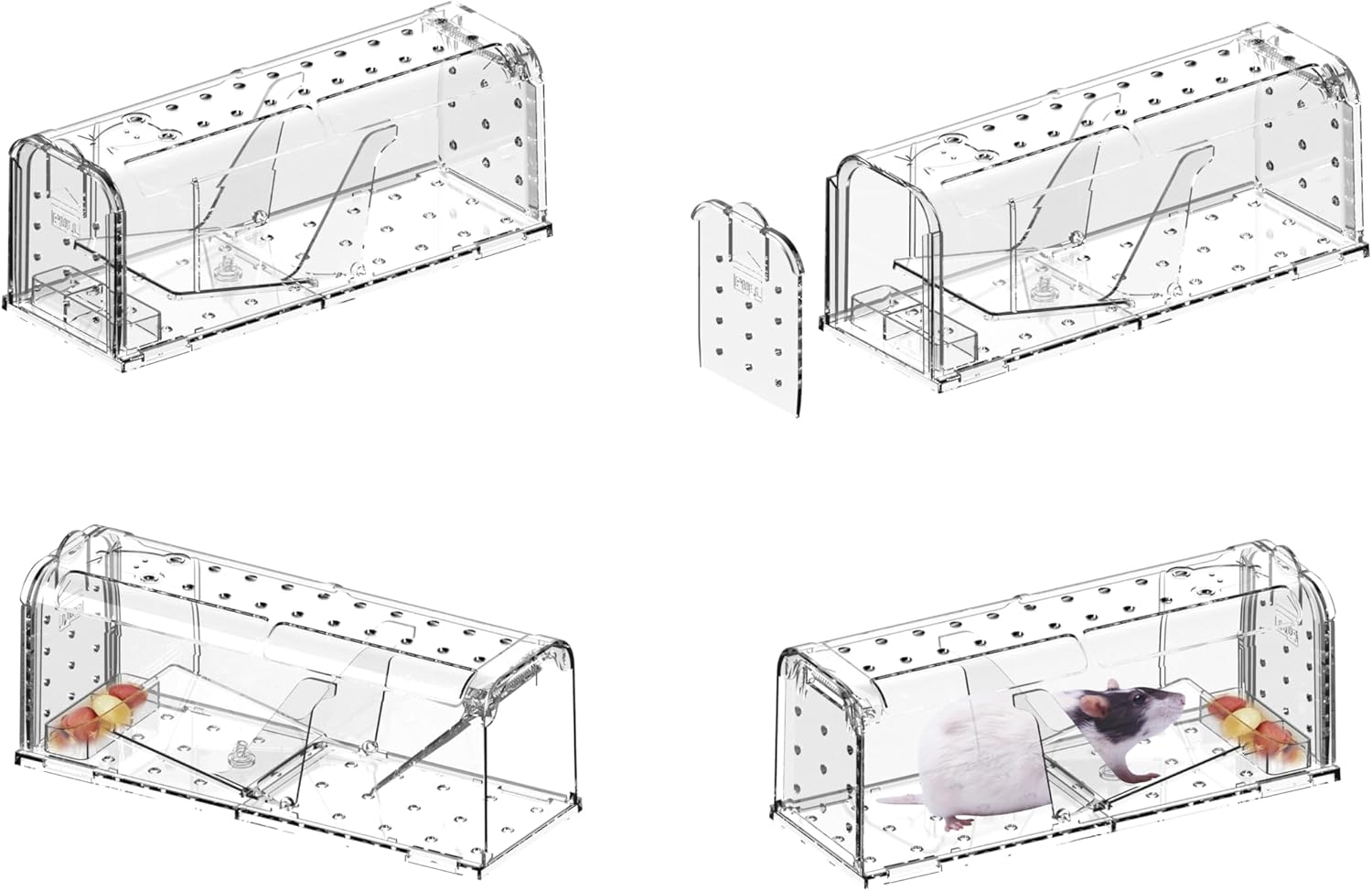 Detalle de HomeRevel humane mouse trap set for live catch