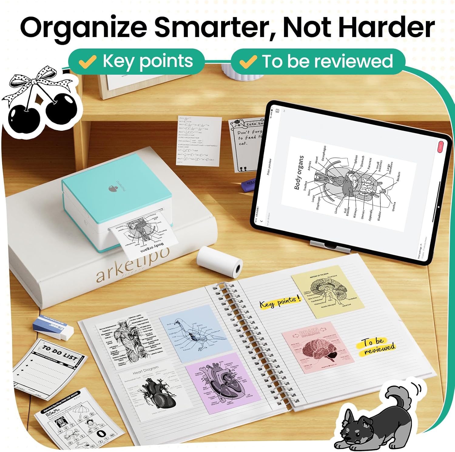 Detalle 2 de Phomemo Mini Sticker Printer M02