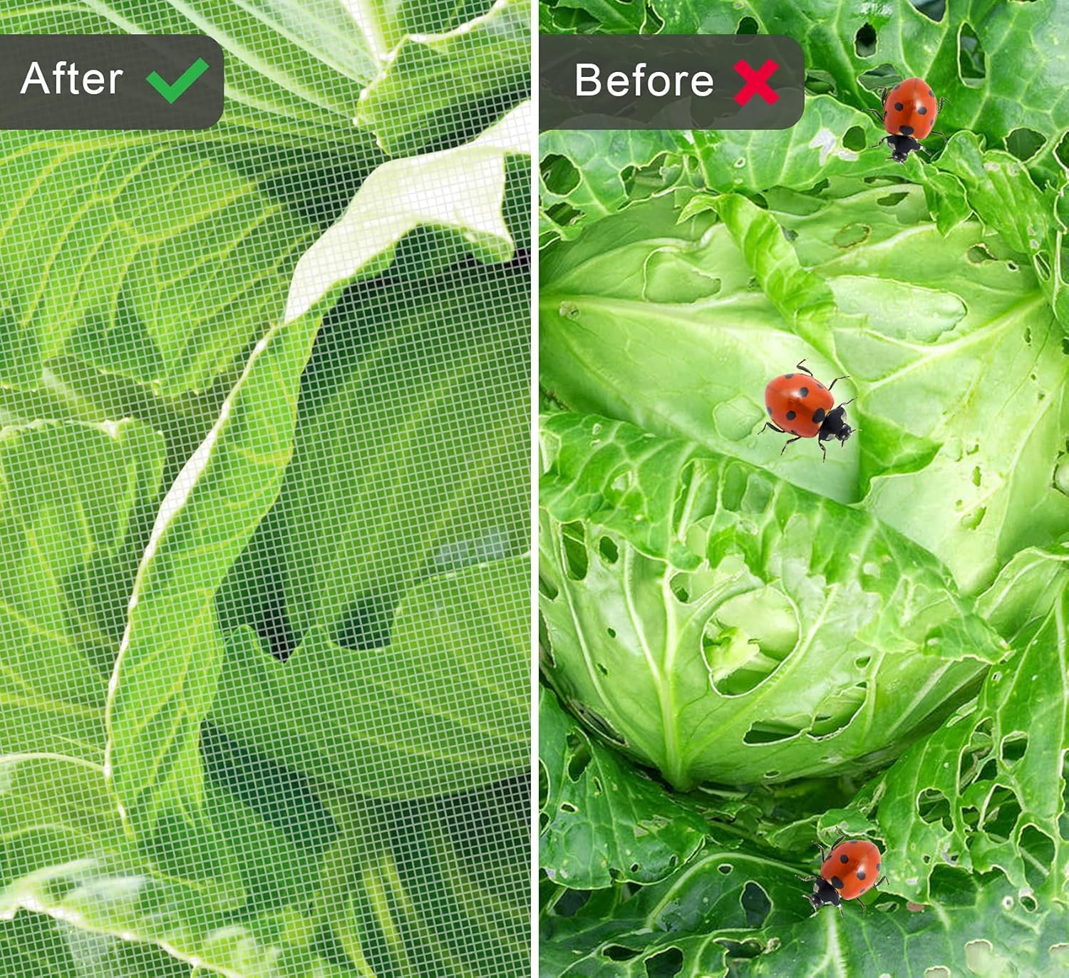 Thumbnail 4 de 2x10 m Kulturschutznetz mit 15 Gartenhaken – Vielseitiger Pflanzenschutz für Garten & Hochbeet