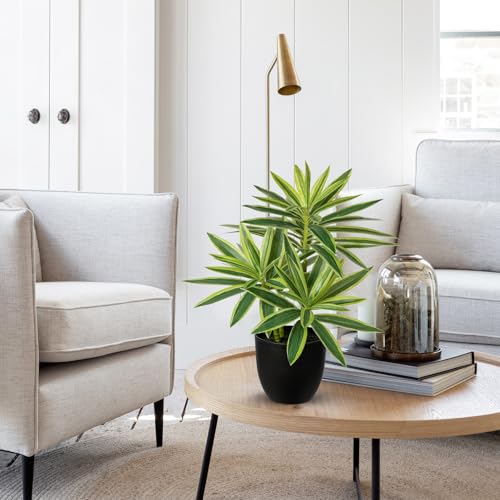 Detalle 2 de Oairse künstliche Dracaena, 41 cm, grün-gelb im schwarzen Topf