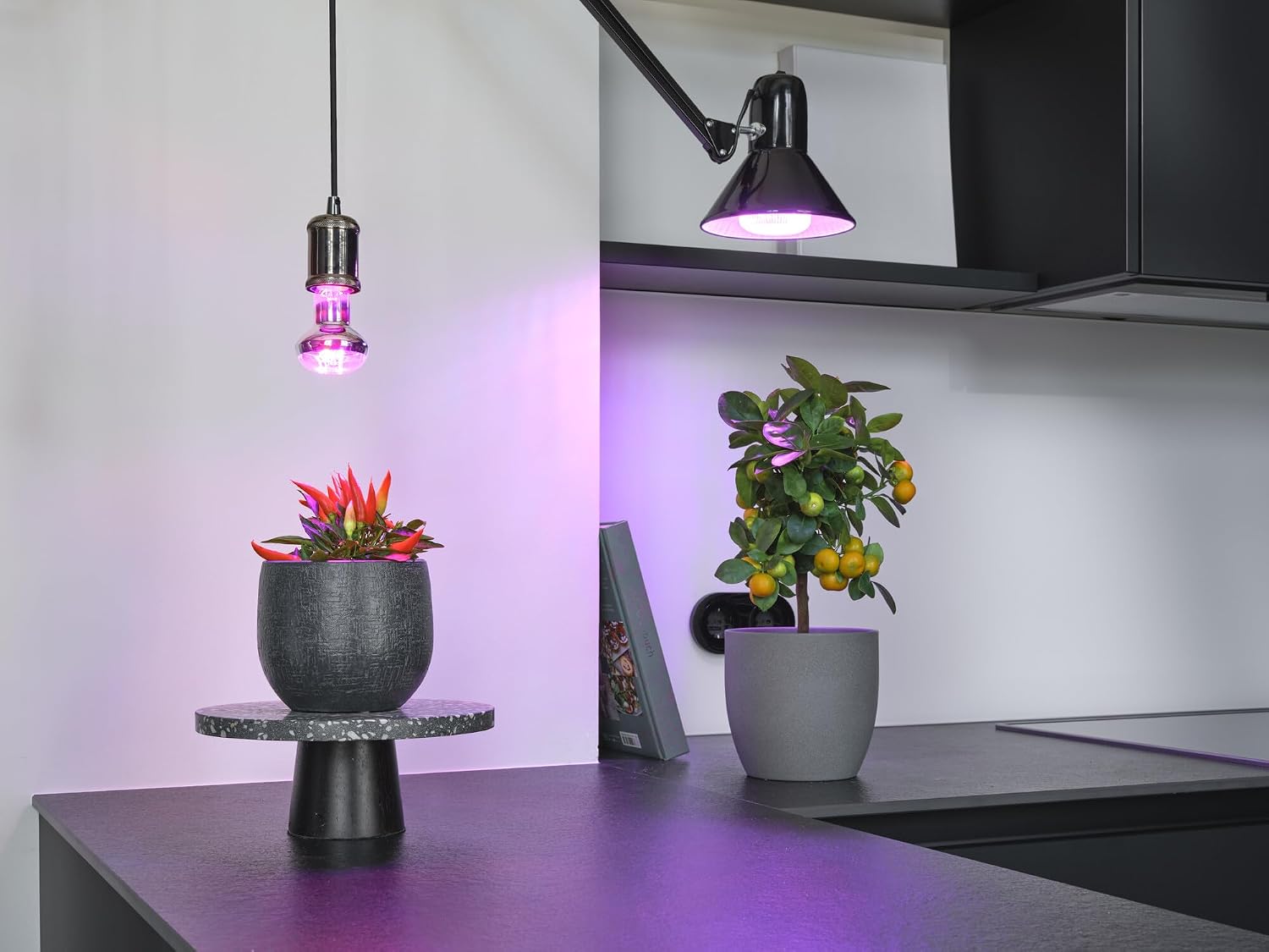 Thumbnail 1 de OSRAM 4058075845787 LED-kweeklamp T 60, 10 W, E27, voor drie groeifasen