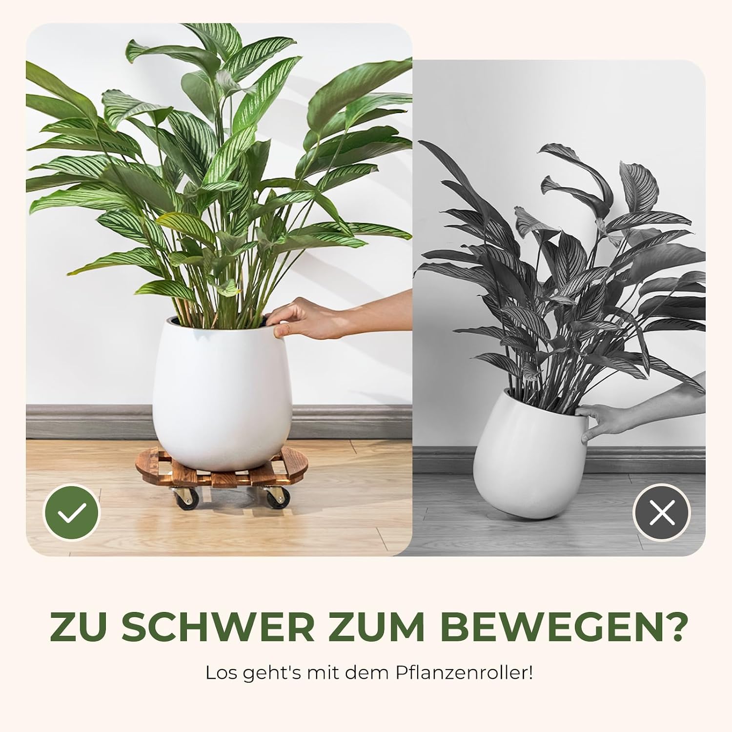 Thumbnail 3 de Bamworld soportes para plantas con ruedas