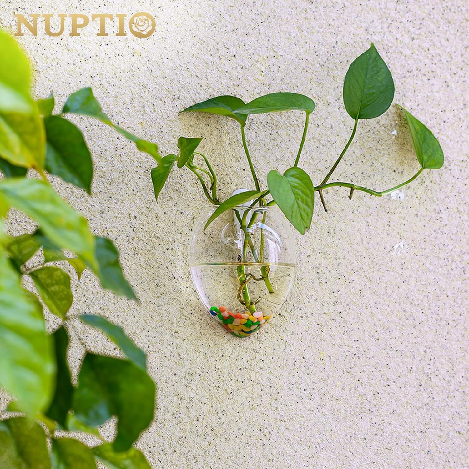 Detalle de NUPTIO Vasi da Parete per Piante sospese Set da 4