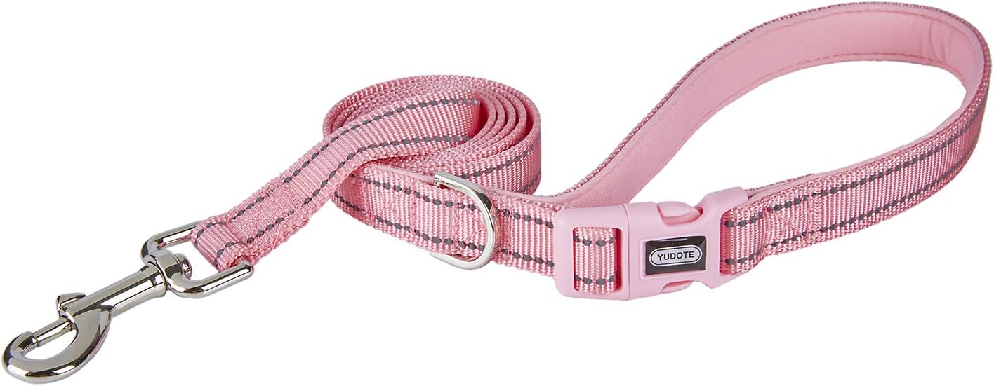 Detalle 2 de Petiry Nylon Reflective Dog Lead Pink with Comfort Handle – 120cm