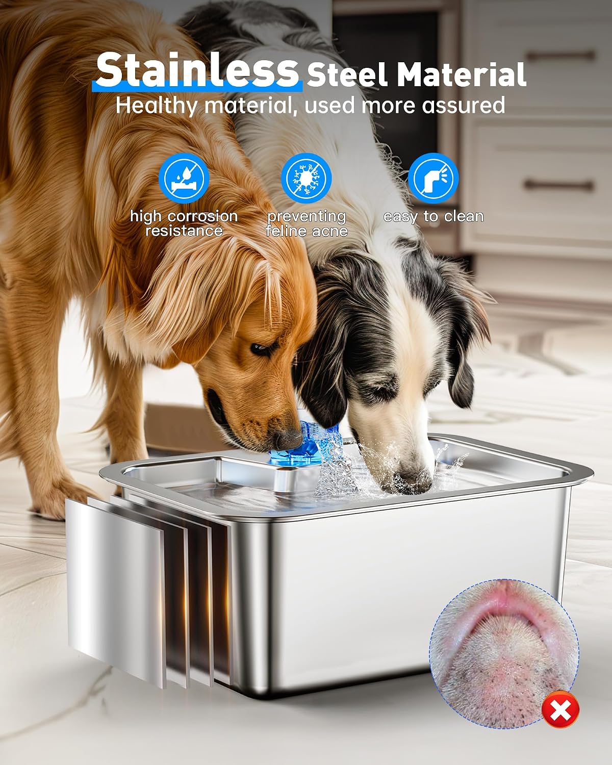 Detalle de 3 Gallon Large Dog Water Fountain Dispenser