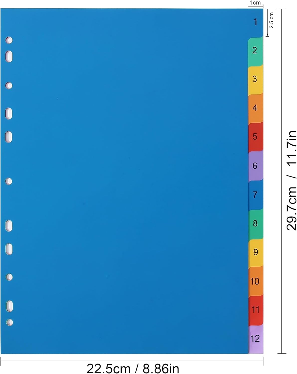 Detalle 2 de ROSHINE 1–12 A4 Part File Dividers (10-pack) with 11-Hole Design and Colour Index Set