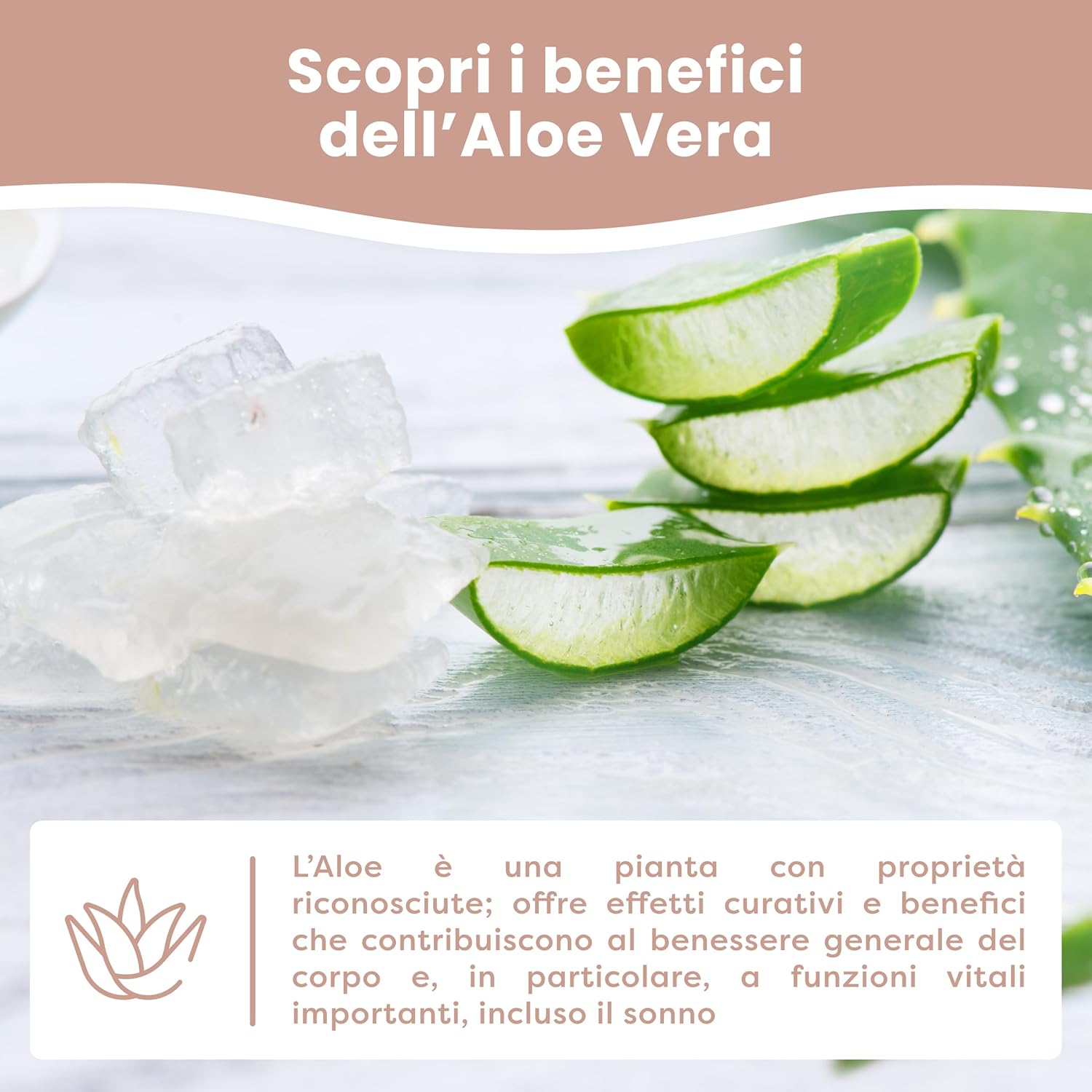 Thumbnail 6 de MIMUSELINA Cuscino Memory Foam Bambini 50x30x5,5 cm con federa Aloe Vera sfoderabile e lavabile